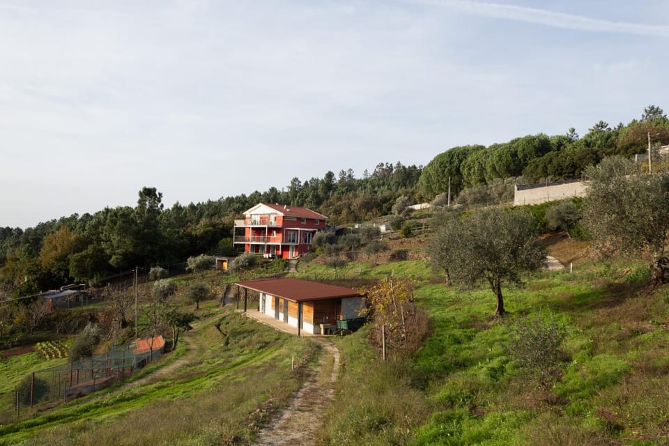 Property building, Spring, Day, Natural landscape