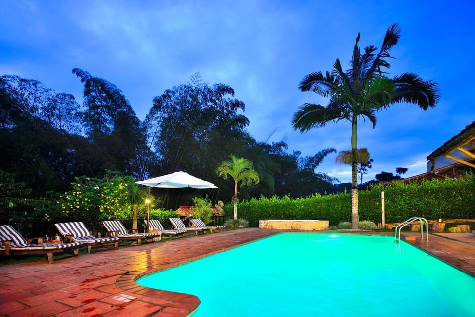 Pool view, Swimming pool