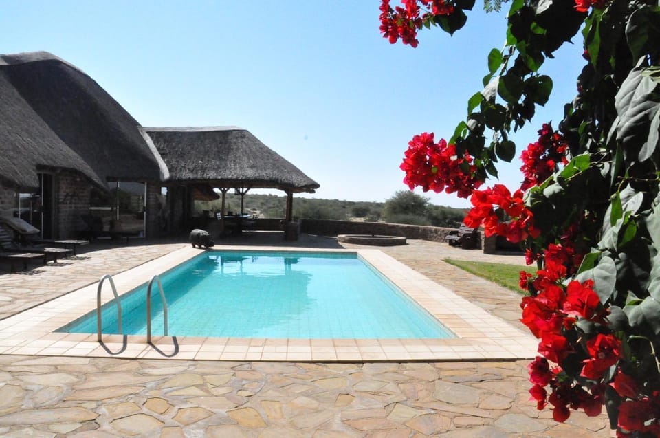 Garden, Swimming pool