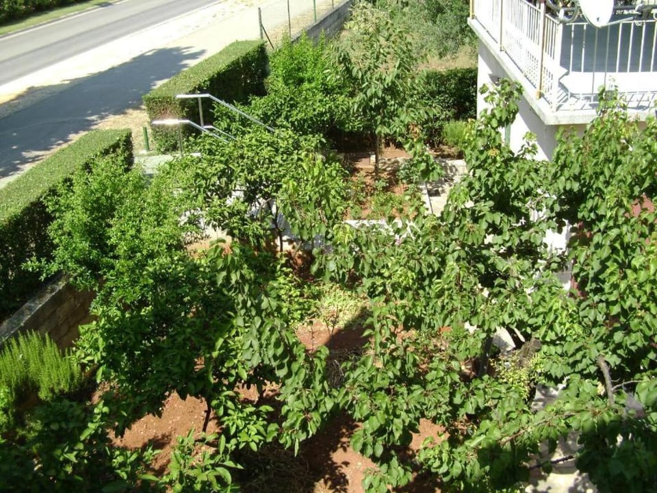 Apartmani Tome Apartment in Zadar