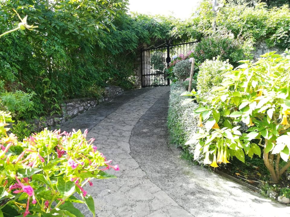 Casa Nueva Carmen Country House in Cantabria