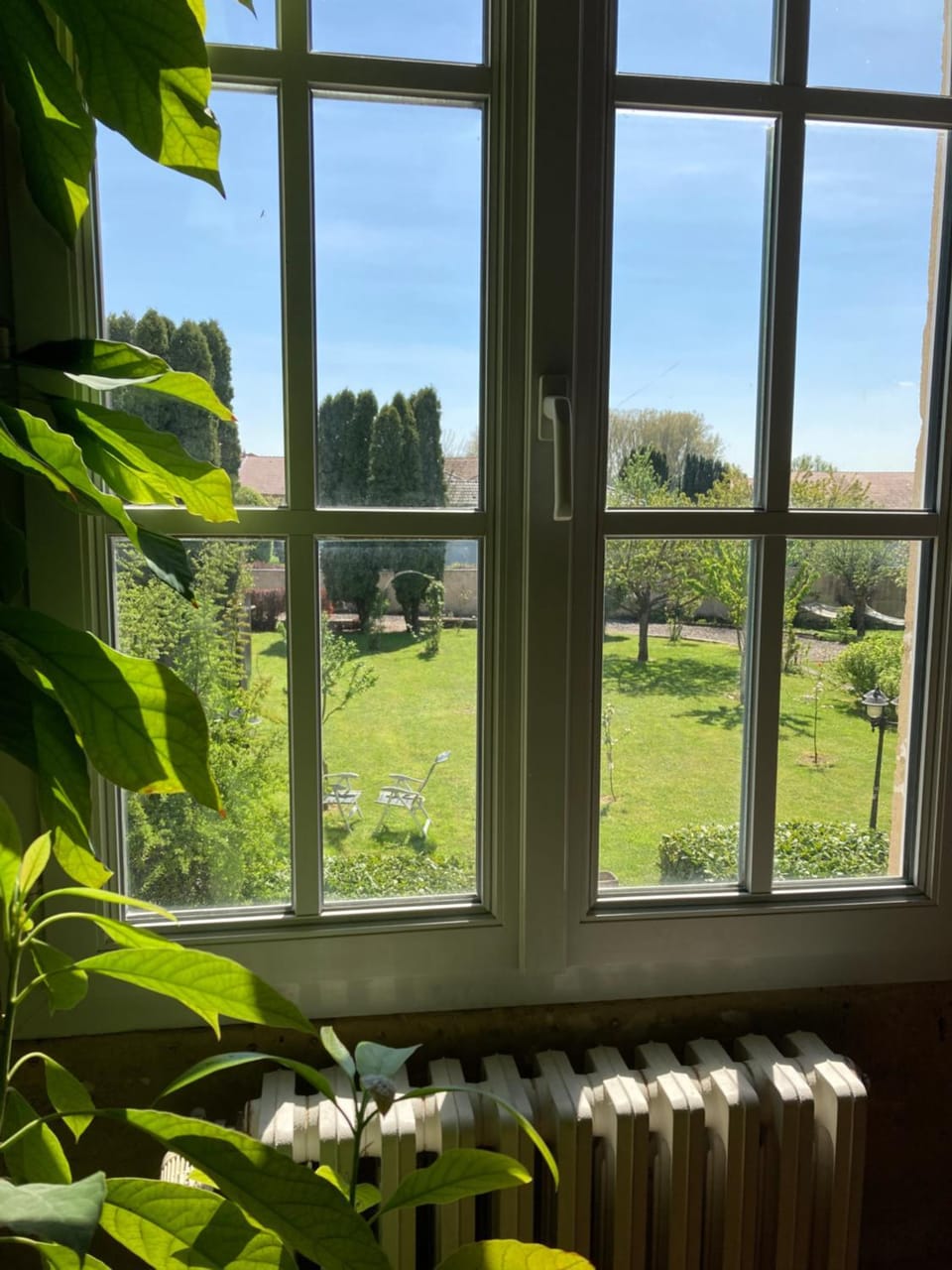 Garden view