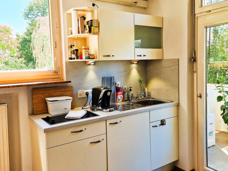 Coffee/tea facilities, Kitchen or kitchenette, minibar, stove, toaster, kitchen