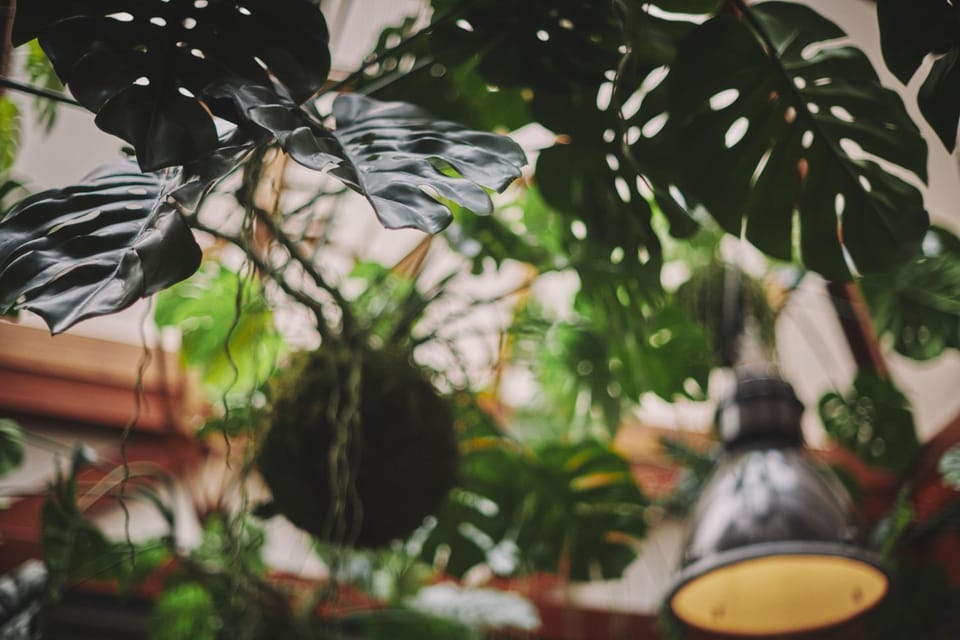 Communal lounge/ TV room, Lounge or bar, Decorative detail