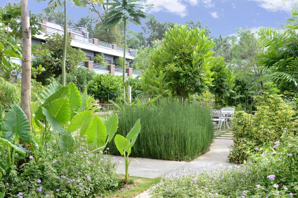Garden view