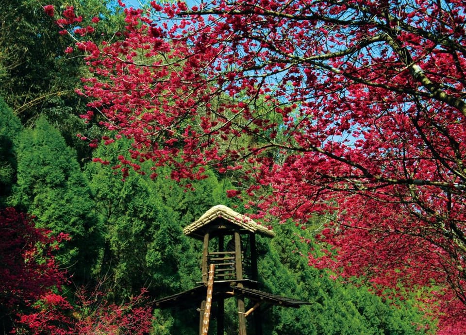 Natural landscape