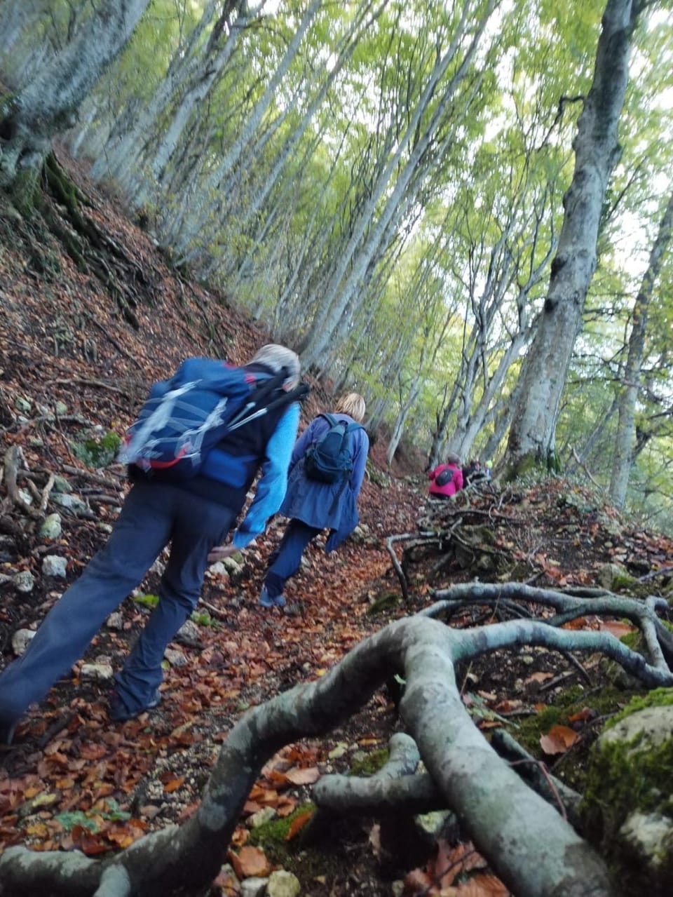 Amor di Lavanda Bed and Breakfast in Umbria