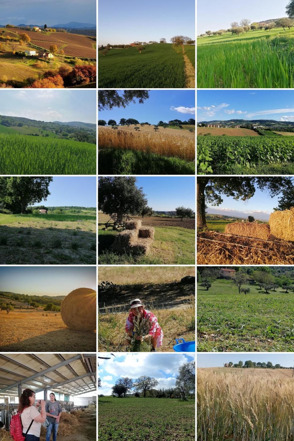 Amor di Lavanda Bed and Breakfast in Umbria