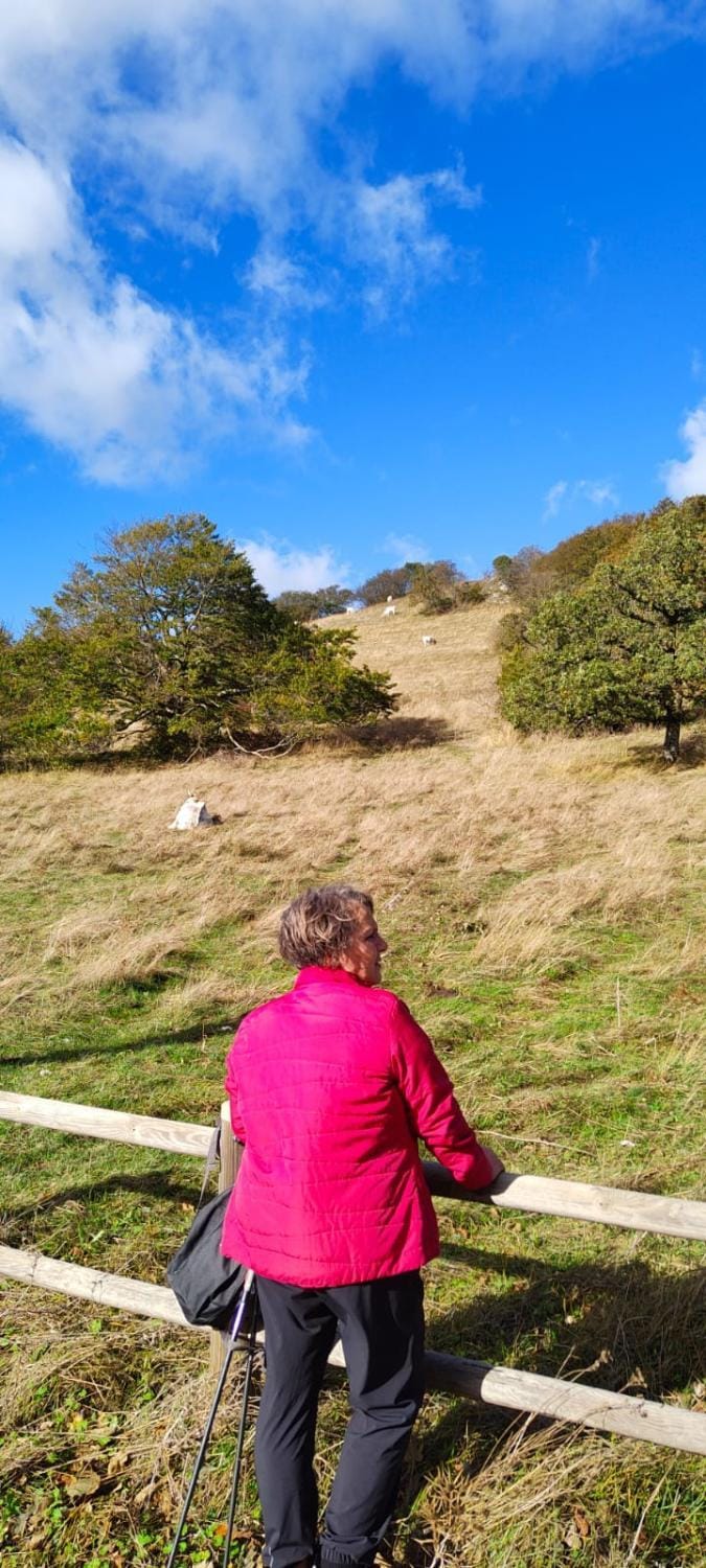 Amor di Lavanda Bed and Breakfast in Umbria
