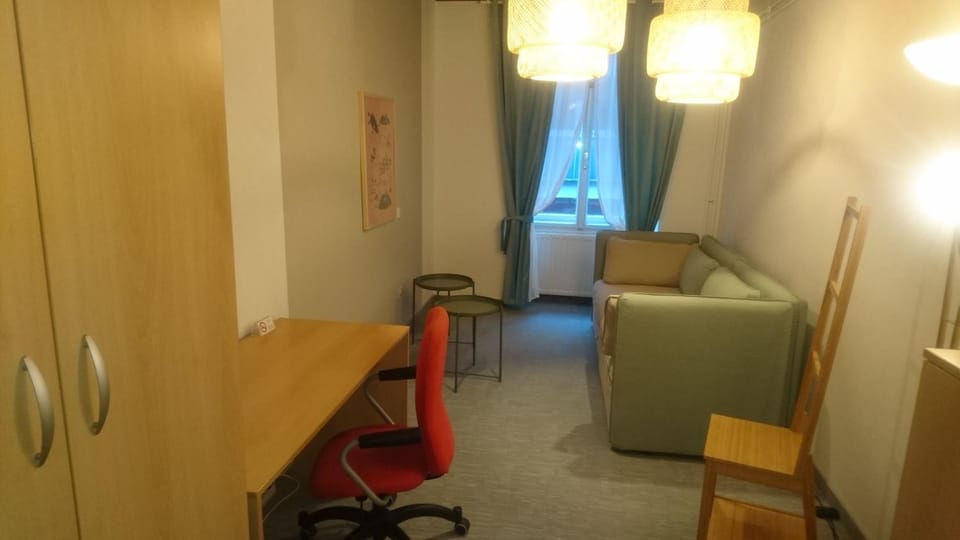 Bed, Living room, Photo of the whole room, Seating area, Bedroom