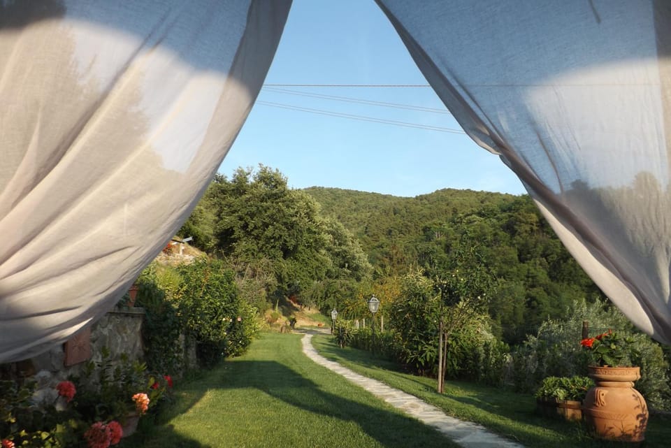 Garden, Garden view