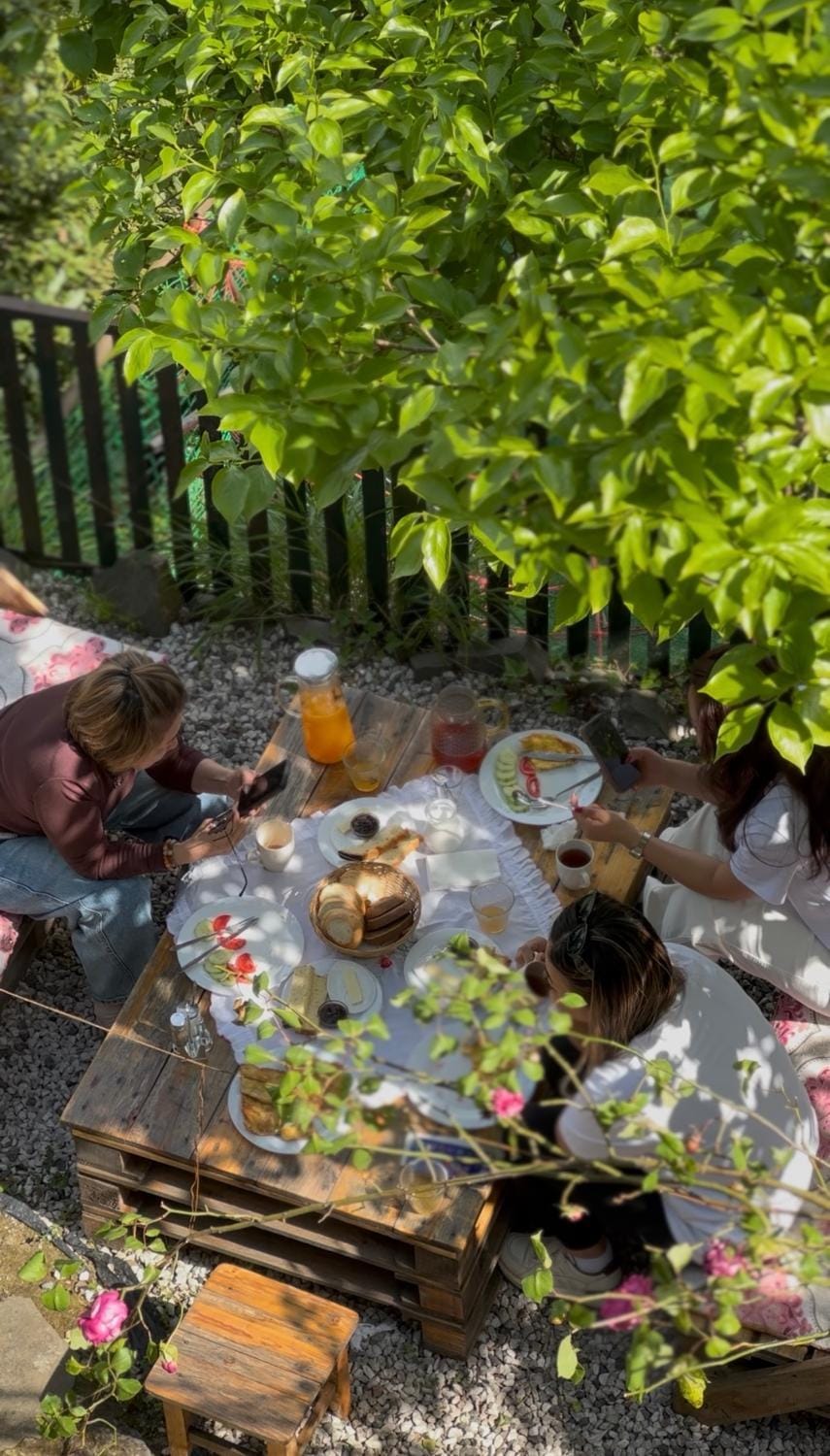 Spring, Day, Garden, Food and drinks, Dining area, Food, Garden view, Drinks