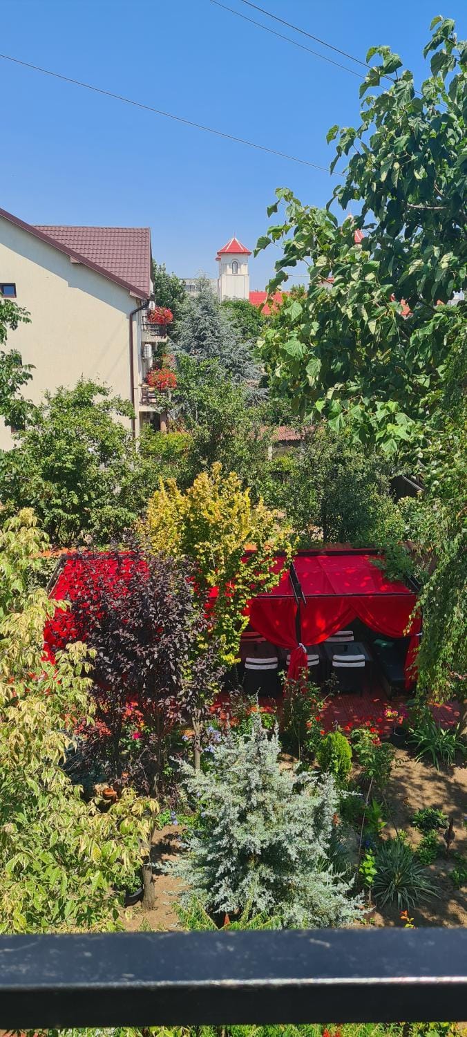 Vila Davi Bed and Breakfast in Constanța County