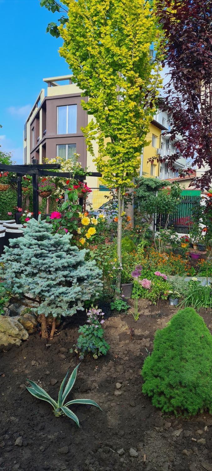 Vila Davi Bed and Breakfast in Constanța County