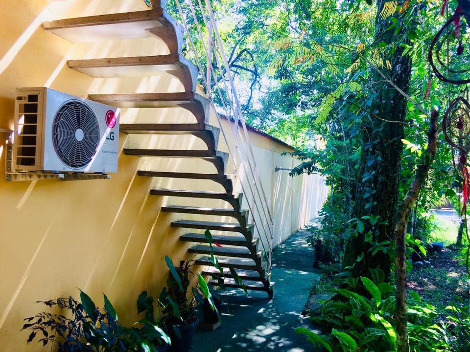Patio, Garden