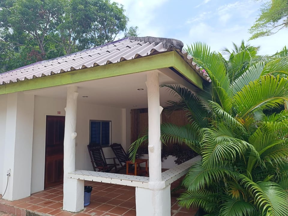 Property building, Patio, Day, Garden, Garden view
