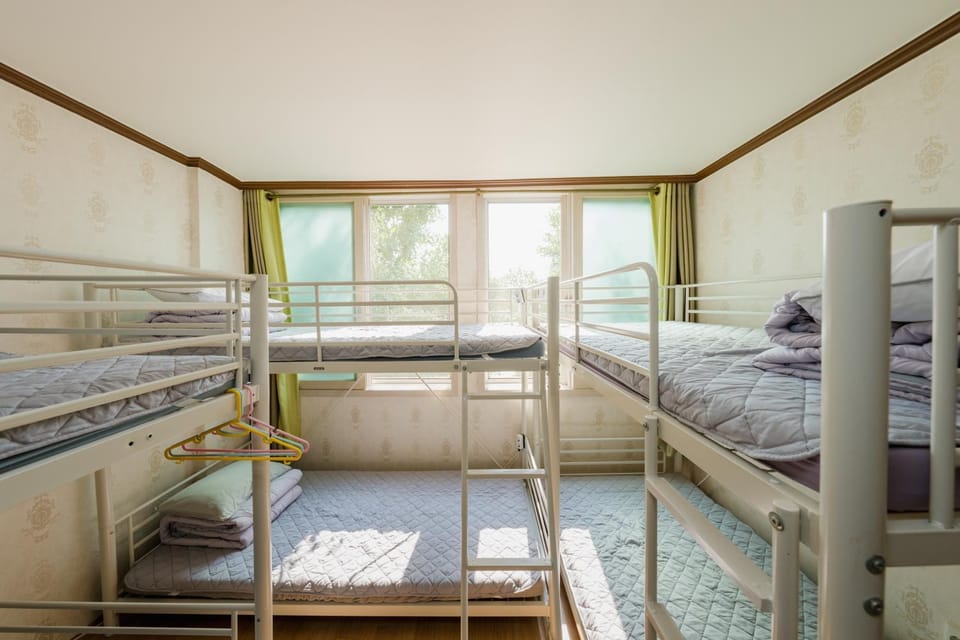 Panda Guesthouse Bed and Breakfast in South Korea