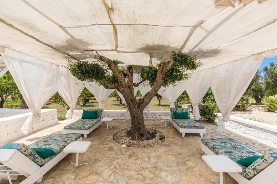 Patio, sunbed