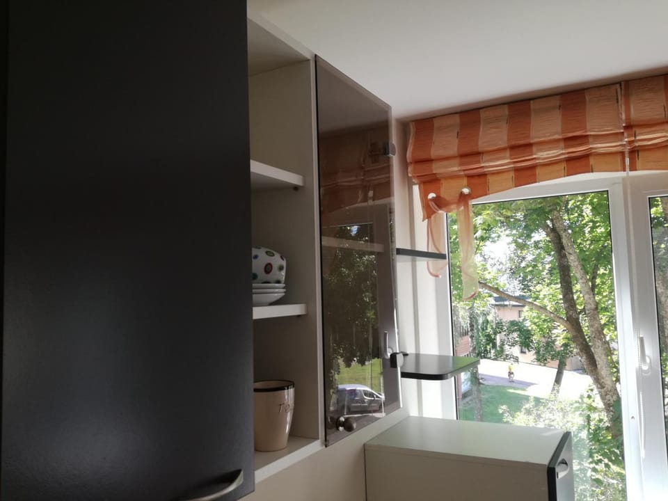 Apartment for rent Druskininkai Apartment in Lithuania