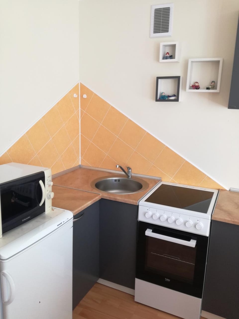 Apartment for rent Druskininkai Apartment in Lithuania