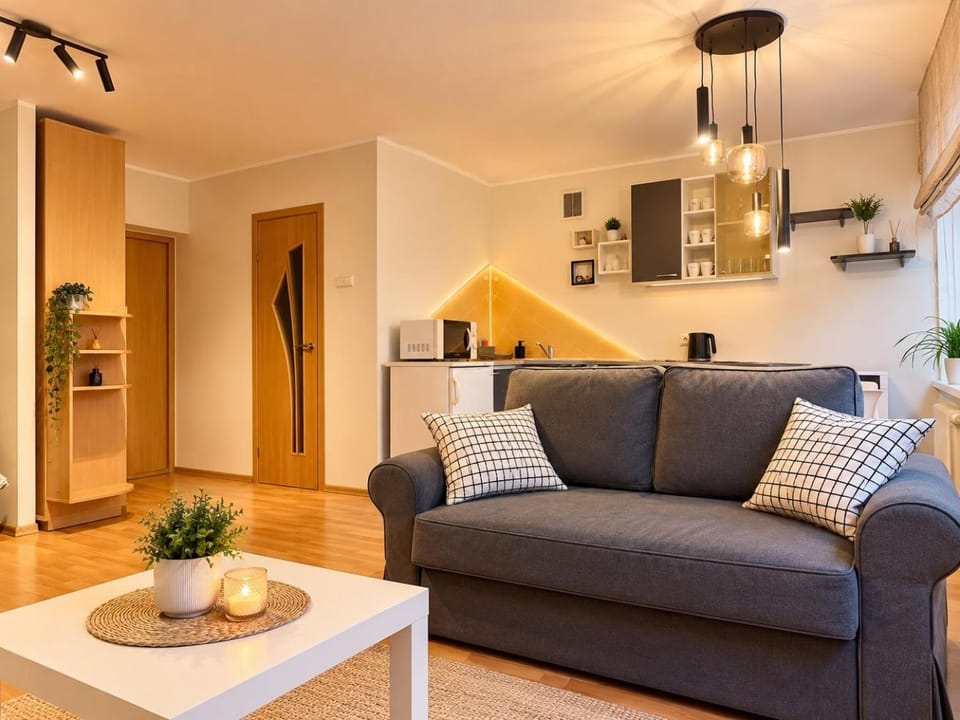 Apartment for rent Druskininkai Apartment in Lithuania