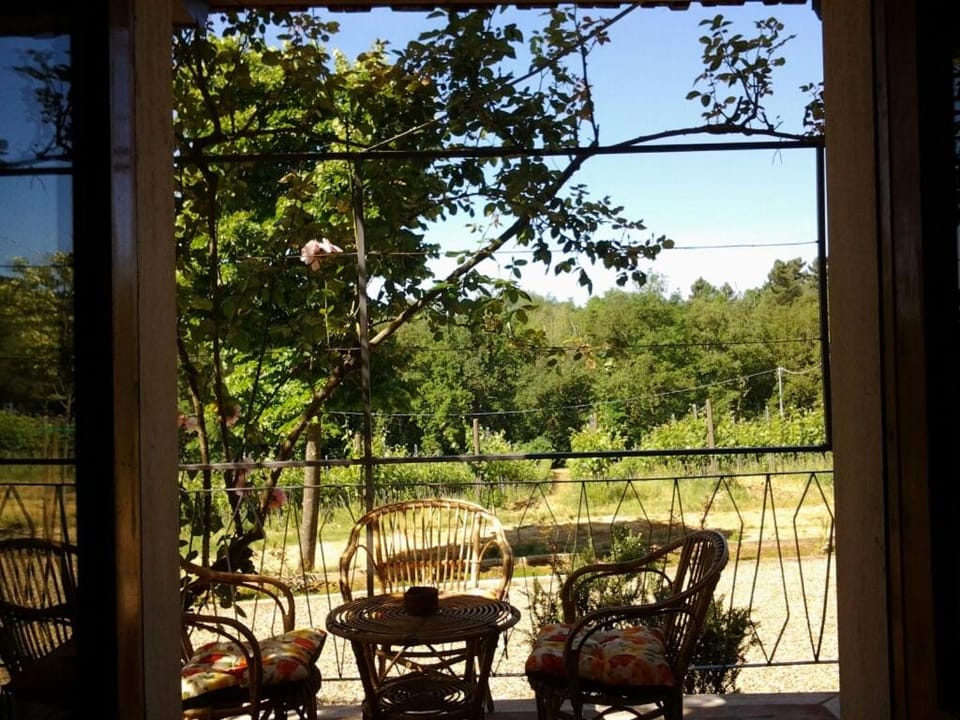 Balcony/Terrace, Garden view