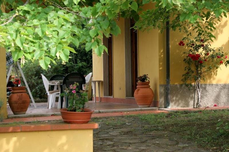 Patio, Facade/entrance