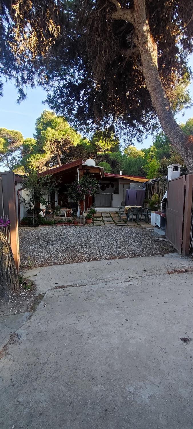 Casa del Pino House in Sardinia