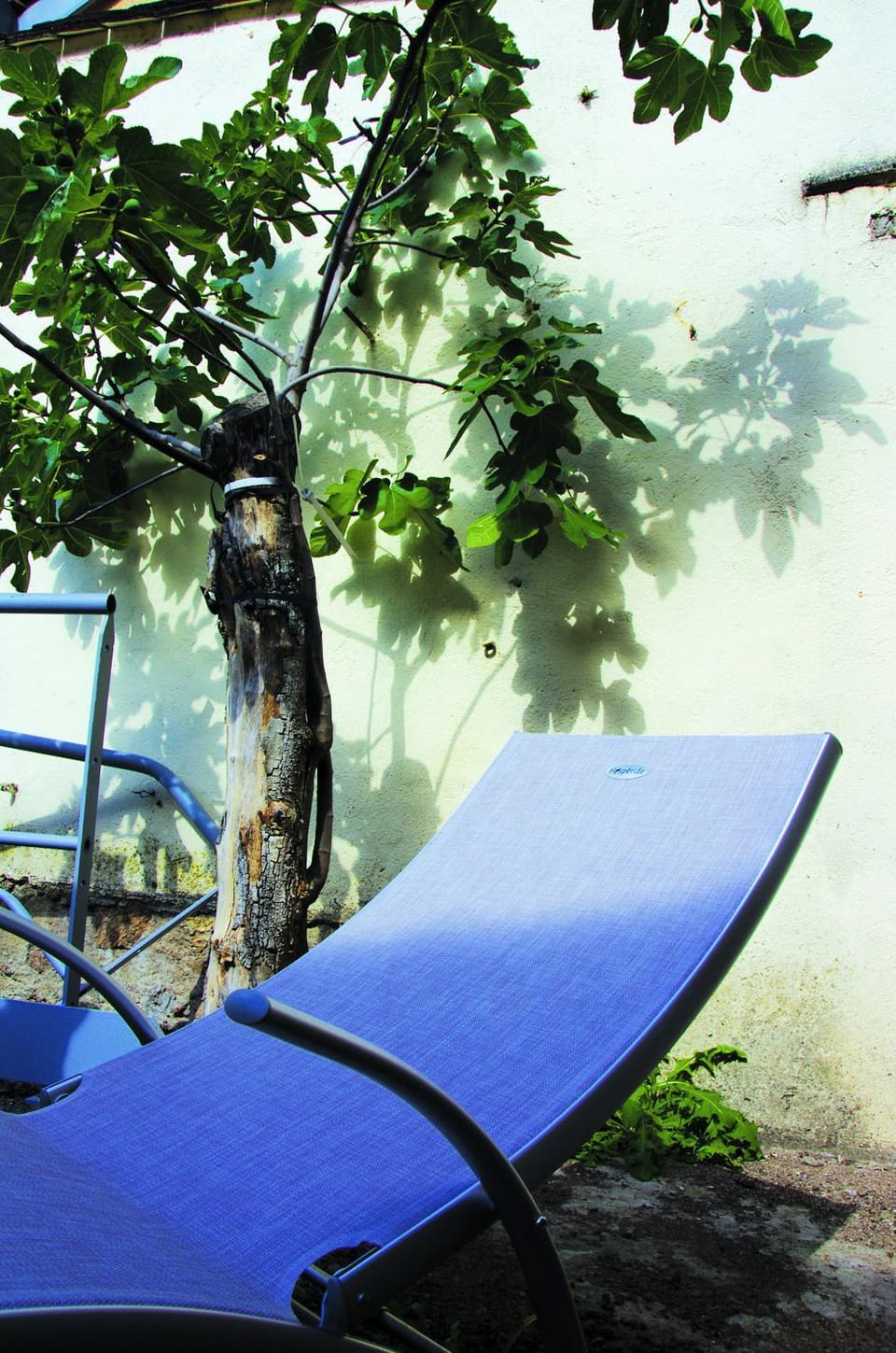 Property building, Balcony/Terrace