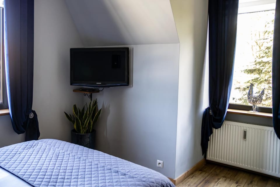 TV and multimedia