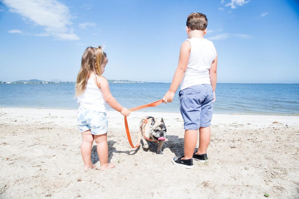 People, People, Fishing, Beach, Beach, Canoeing, Hiking, Sea view, children, young children, older children, Family, Family