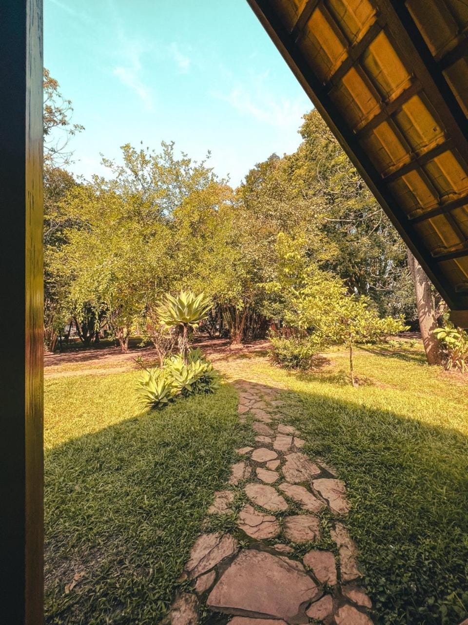Garden view