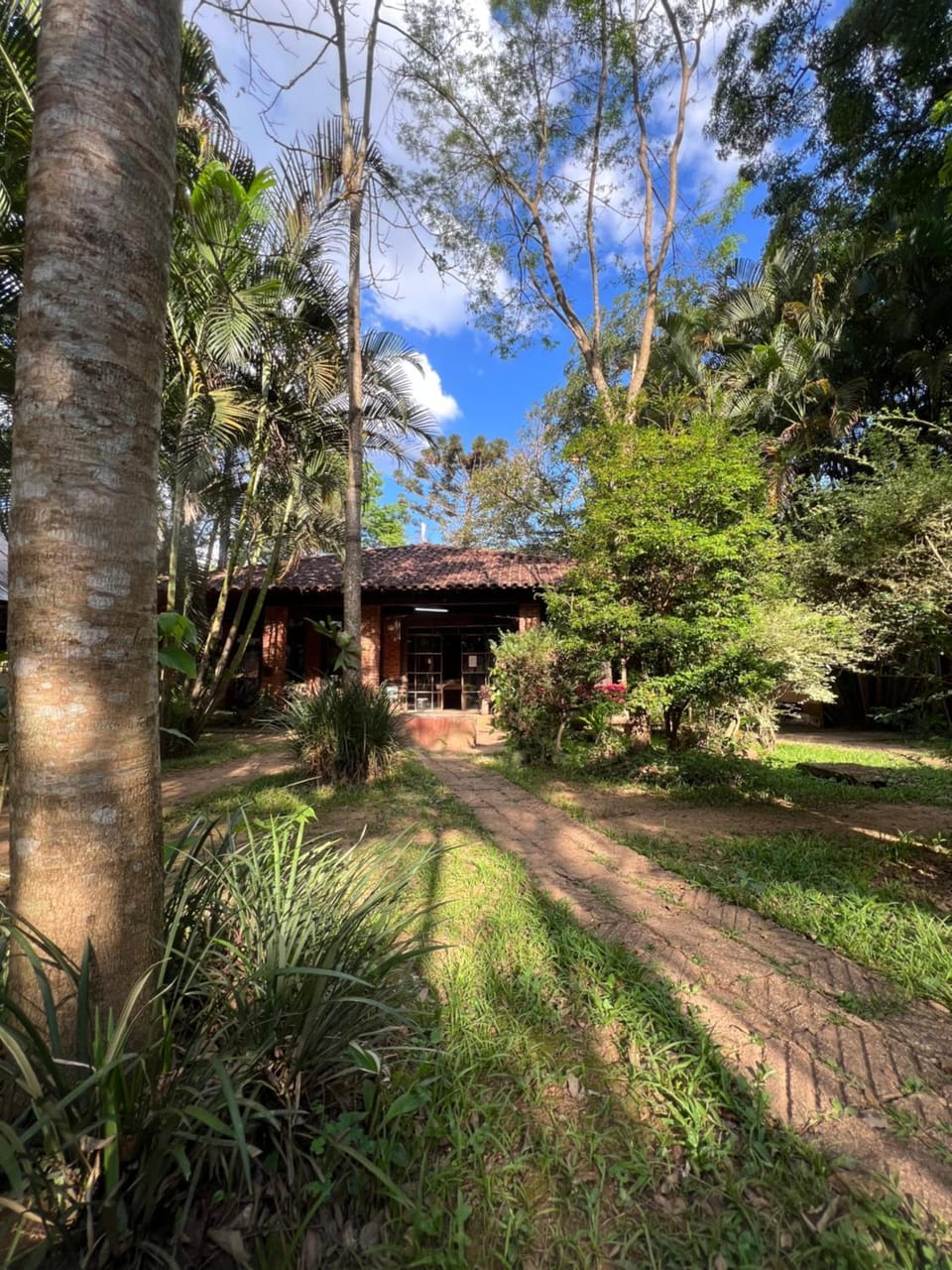 Garden view