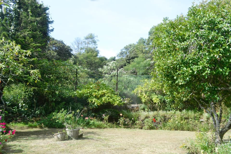 Natural landscape