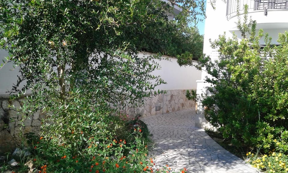 Property building, Garden, Garden