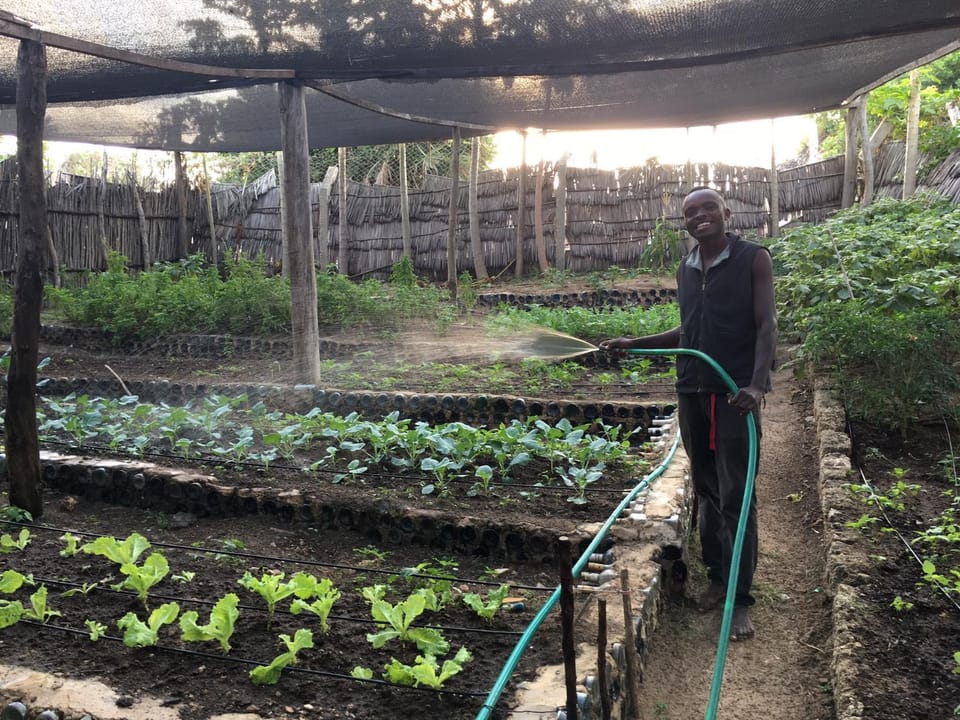 People, Garden