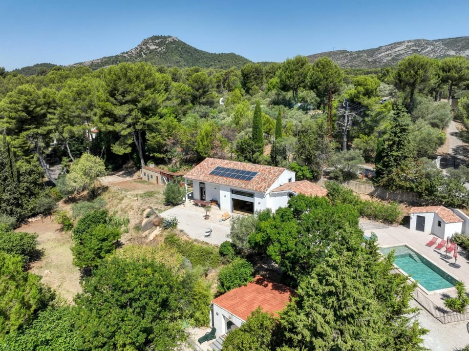 Property building, Bird's eye view