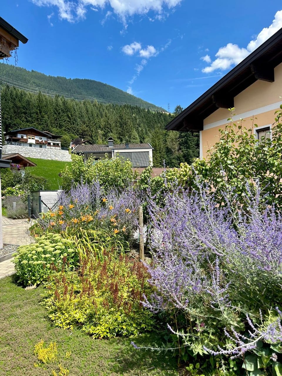 Garden view