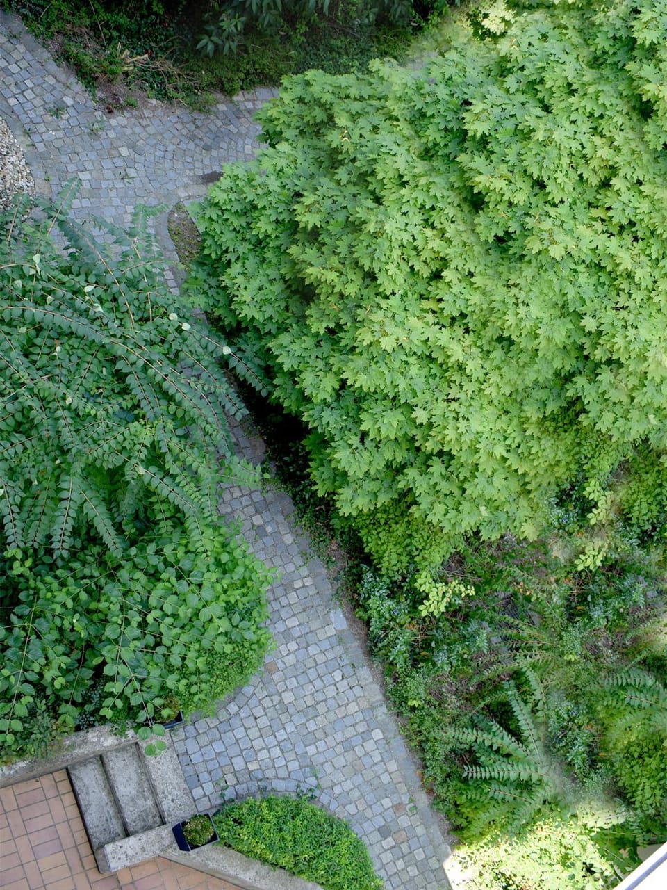 Garden, Garden view