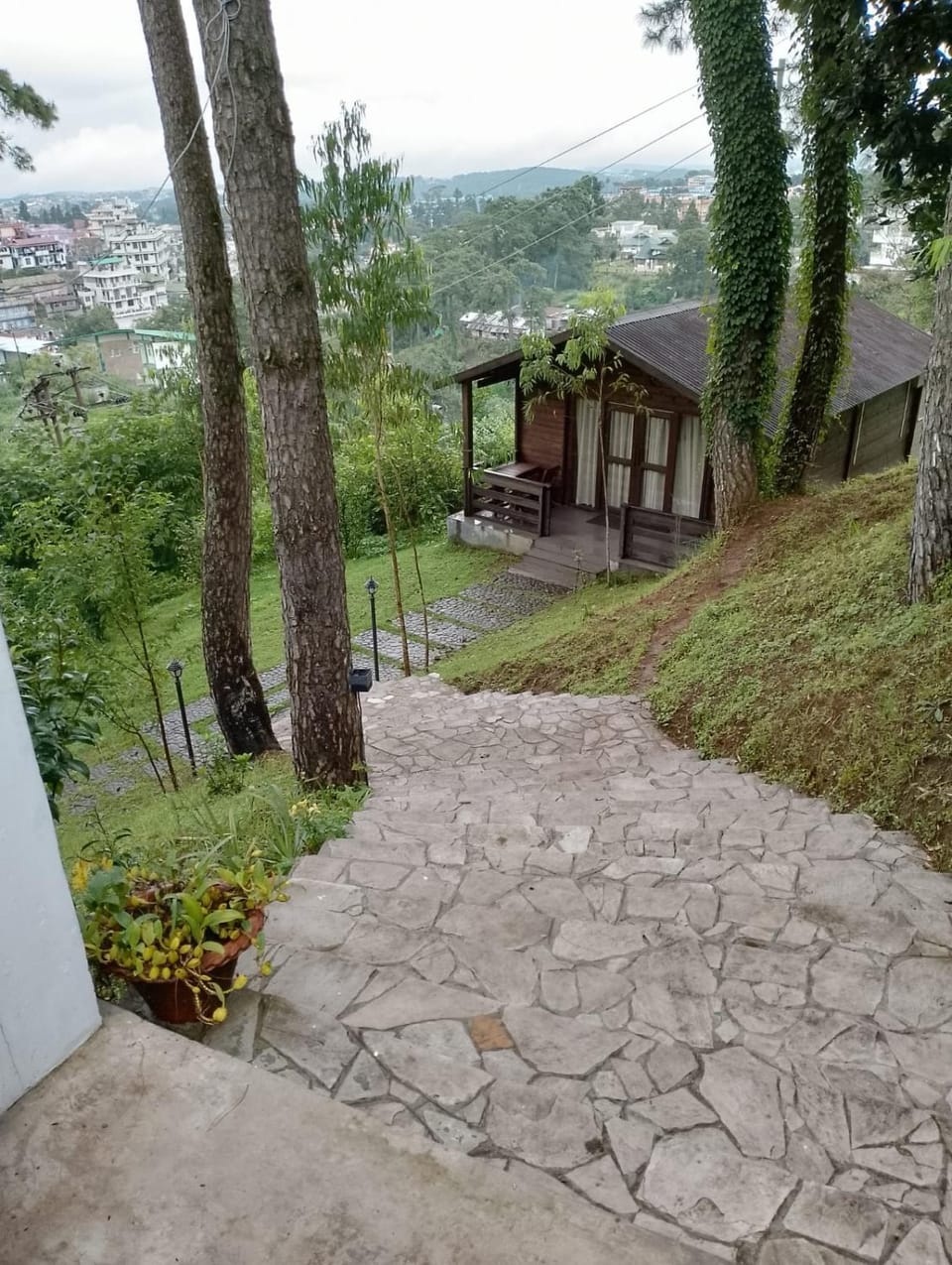 Mountain view