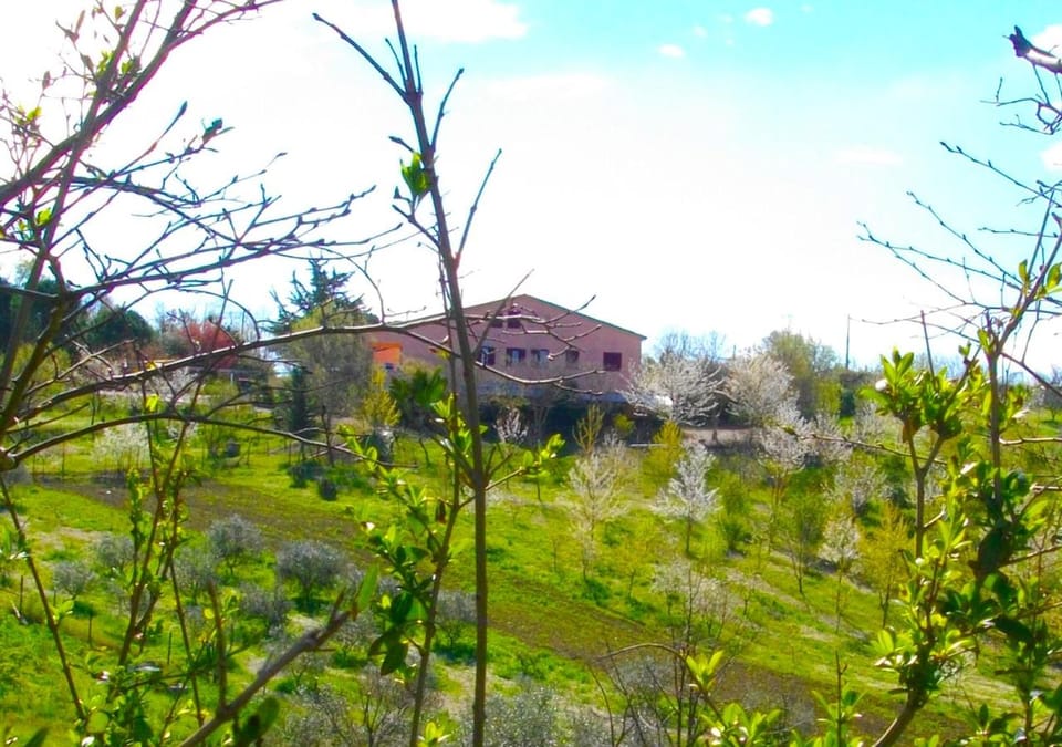 Il Rifugio dell'Ape Agriturismo Bed and Breakfast in Marche