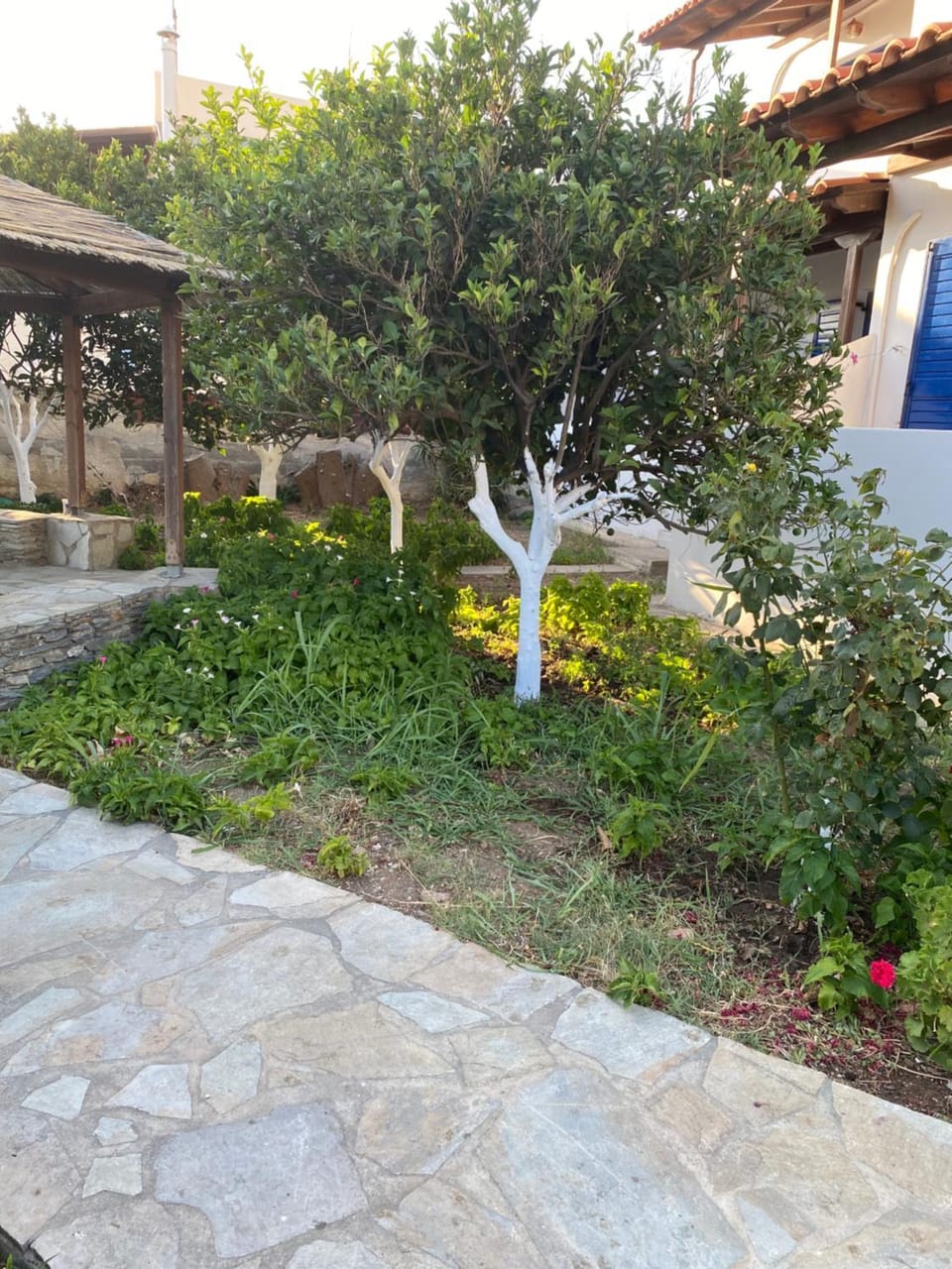 Esperides Apartment in Decentralized Administration of the Aegean