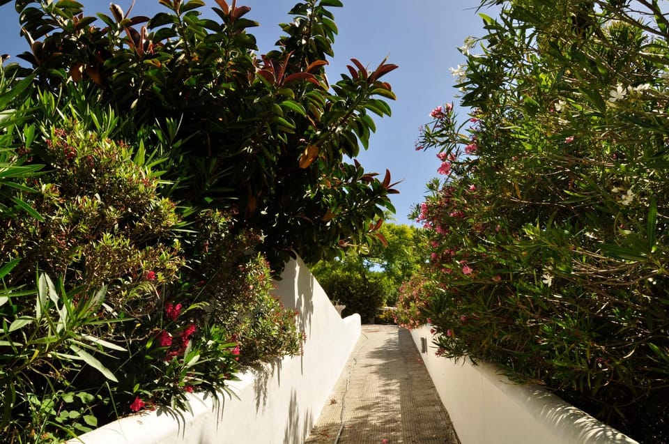 Finca Solivent Ocean View Apartment in La Janda