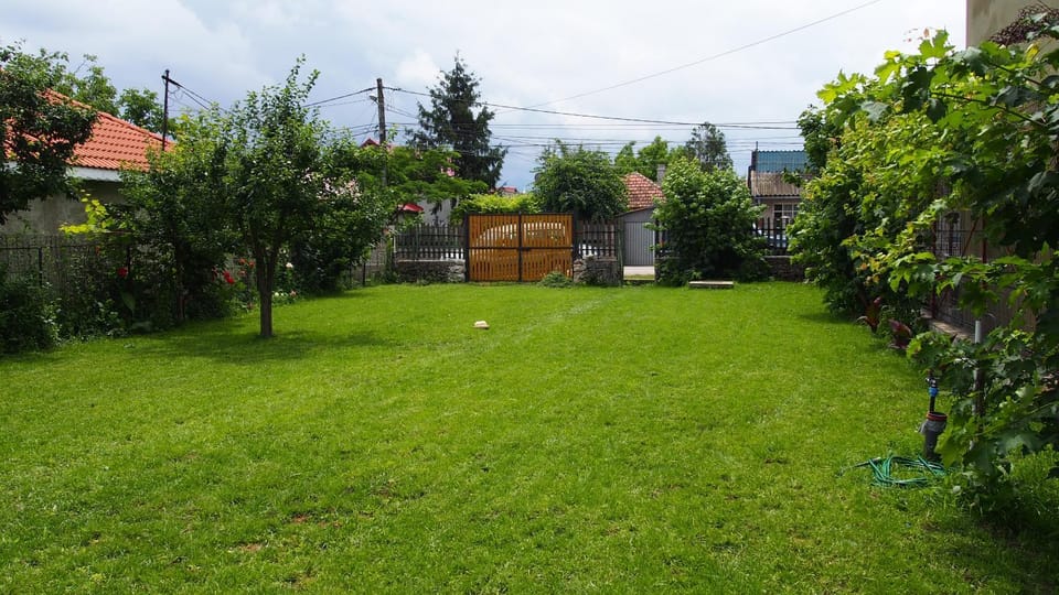 Day, Summer, Garden, Garden, On site, Street view