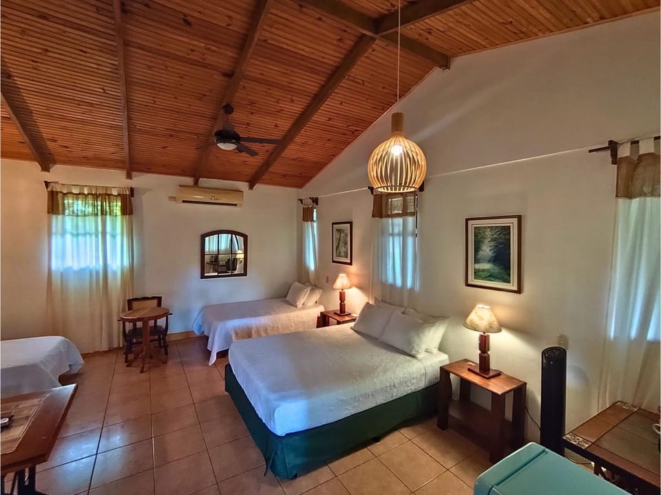 Balcony/Terrace, Other, Photo of the whole room, Decorative detail, Garden view, furniture, towels, air conditioner