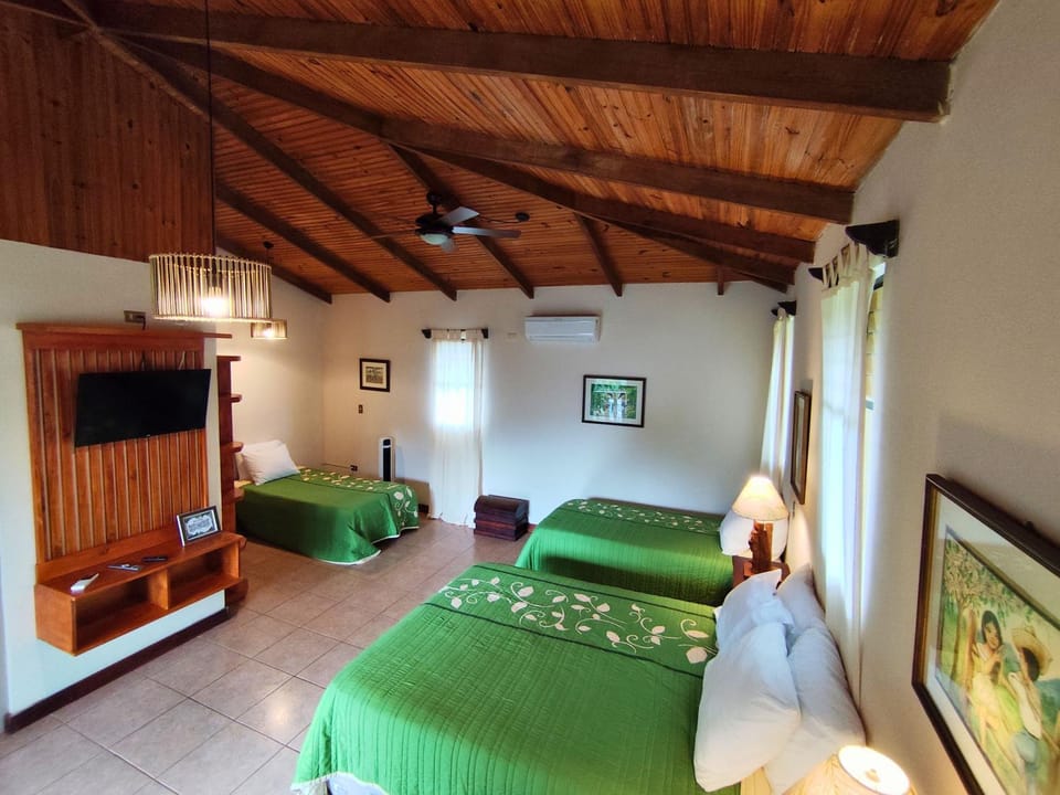 Bed, Coffee/tea facilities, Photo of the whole room, Bedroom, air conditioner