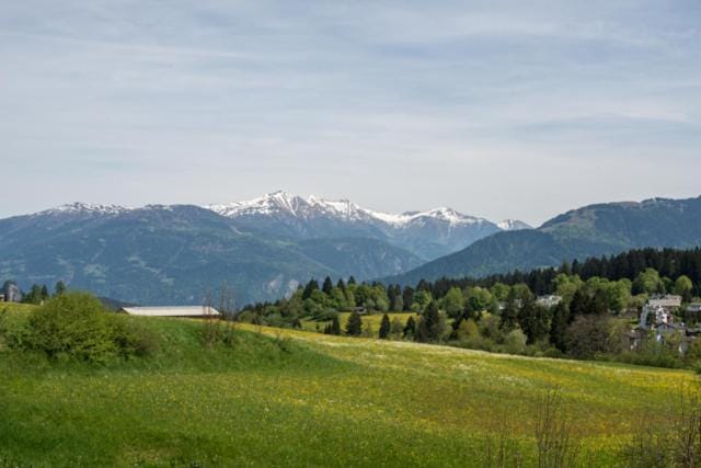 Edelweiss Casa Cassons Apartment in Canton of Grisons