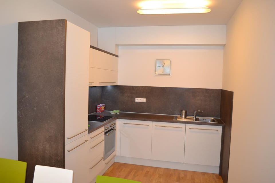 Kitchen or kitchenette, minibar, pet friendly, stove