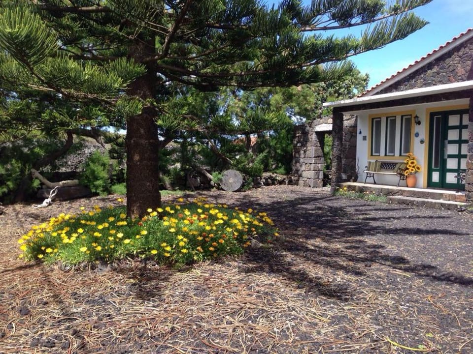 Casa da Costa House in Azores District