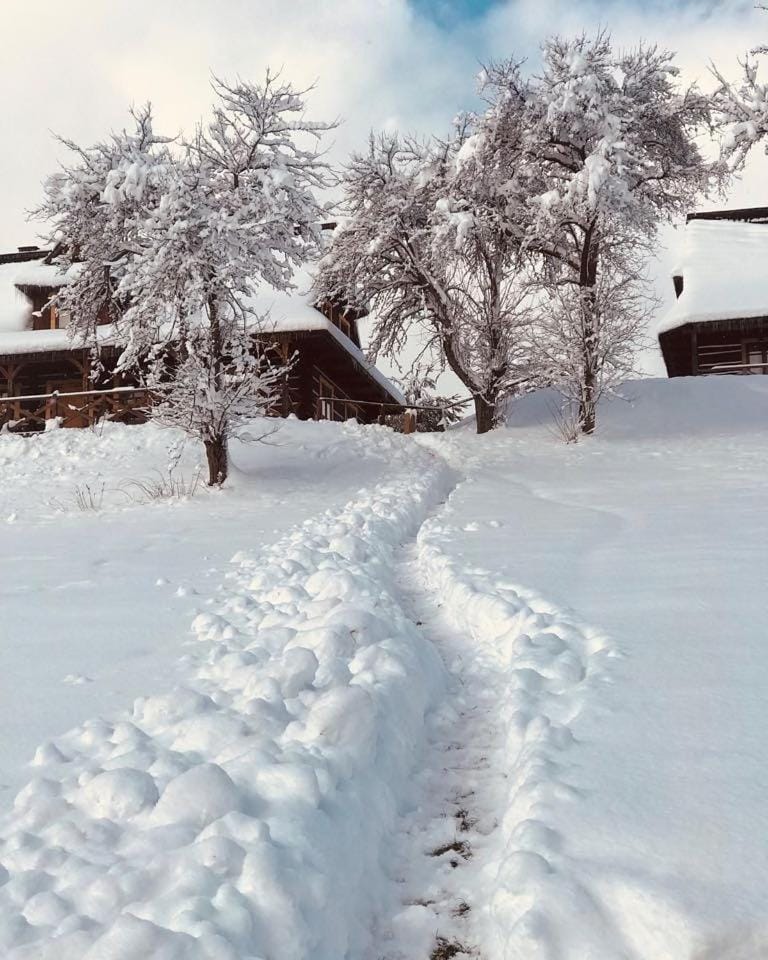 Natural landscape, Winter